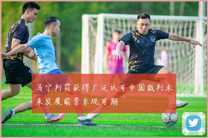 马宁判罚获得广泛认可中国裁判未来发展前景乐观可期