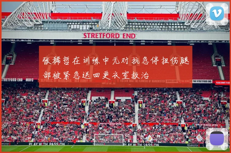 张稀哲在训练中无对抗急停扭伤腿部被紧急送回更衣室救治