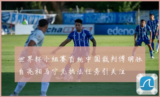 世界杯小组赛首轮中国裁判傅明独自亮相马宁无执法任务引关注